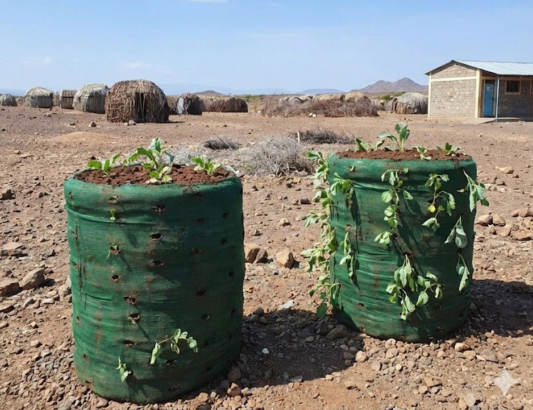 Garden Towers per la scuola di Moite Kenya
